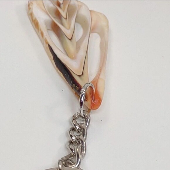 Seashell Keyring Slice Conch Seashell Clearwater Beach, Florida - Picture 3 of 15